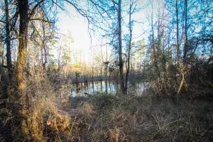 Undisclosed, Dover, AR 72837 photo 24