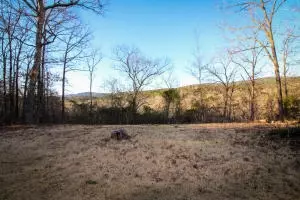 Undisclosed, Dover, AR 72837 photo 22