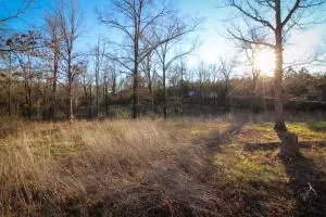 Undisclosed, Dover, AR 72837 photo 21