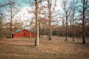 Undisclosed, Dover, AR 72837 photo 3