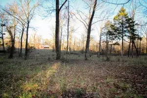 Undisclosed, Dover, AR 72837 photo 25