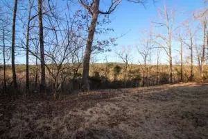 Undisclosed, Dover, AR 72837 photo 23