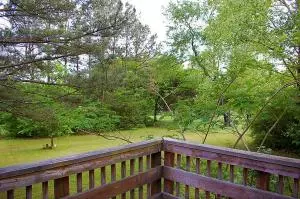 Undisclosed, Dover, AR 72837 photo 48