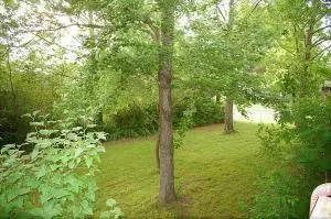 Undisclosed, Dover, AR 72837 photo 45