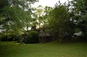 Undisclosed, Dover, AR 72837 photo 58