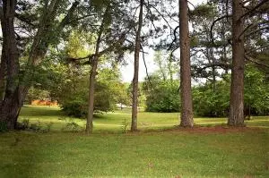 Undisclosed, Dover, AR 72837 photo 57