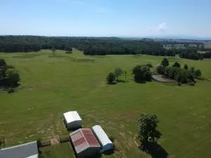 Undisclosed, Cecil, AR 72930 photo 42