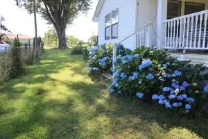 Undisclosed, Cecil, AR 72930 photo 50