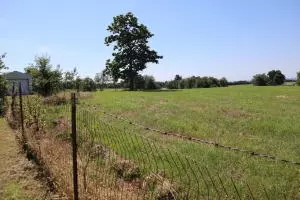Undisclosed, Cecil, AR 72930 photo 48