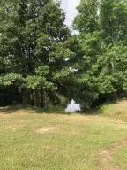 Undisclosed, Dover, AR 72837 photo 21
