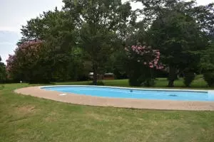 Undisclosed, Dover, AR 72837 photo 30