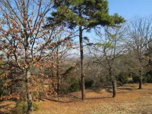 Undisclosed, Scranton, AR 72863 photo 33