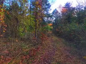 Undisclosed, Hector, AR 72843 photo 16