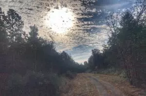 Undisclosed, Hector, AR 72843 photo 2