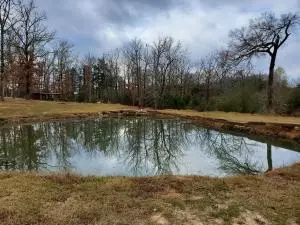 Undisclosed, Dover, AR 72837 photo 20