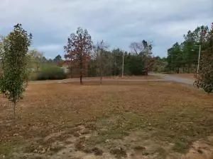 Undisclosed, Dover, AR 72837 photo 10