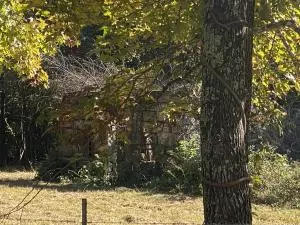 Undisclosed, Hector, AR 72843 photo 62