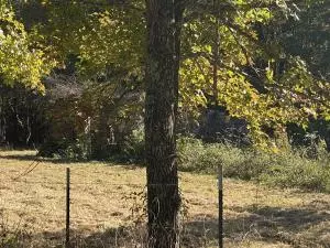 Undisclosed, Hector, AR 72843 photo 61