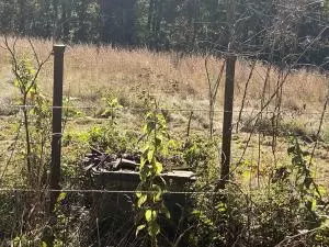 Undisclosed, Hector, AR 72843 photo 58