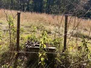 Undisclosed, Hector, AR 72843 photo 59