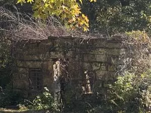 Undisclosed, Hector, AR 72843 photo 57