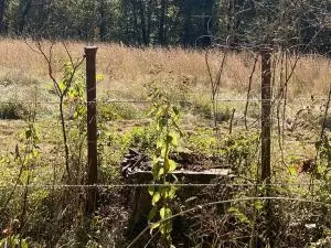Undisclosed, Hector, AR 72843 photo 60