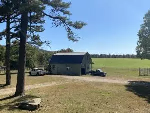 Undisclosed, Hector, AR 72843 photo 3