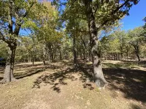 Undisclosed, Hector, AR 72843 photo 12