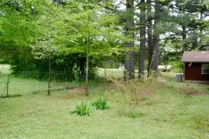 Undisclosed, Lamar, AR 72846 photo 50