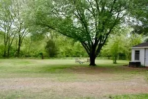 Undisclosed, Lamar, AR 72846 photo 45