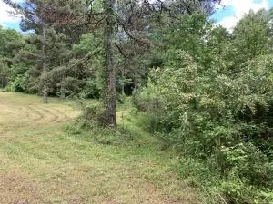 Undisclosed, Dover, AR 72837 photo 24