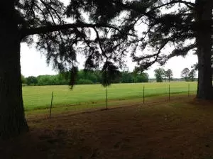 Undisclosed, Dover, AR 72837 photo 34