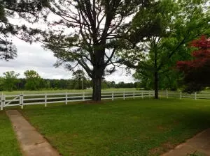 Undisclosed, Dover, AR 72837 photo 20