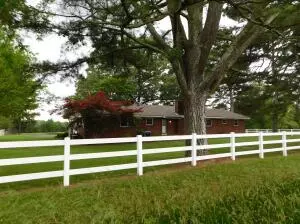 Undisclosed, Dover, AR 72837 photo 3