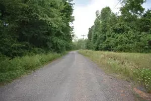 Undisclosed, Marshall, AR 72650 photo 37