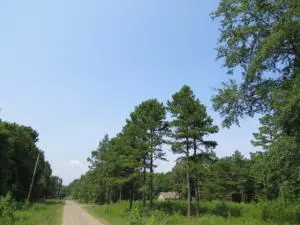 Undisclosed, Dover, AR 72837 photo 7