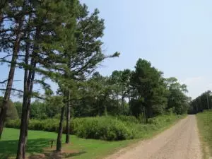 Undisclosed, Dover, AR 72837 photo 2