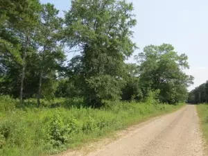 Undisclosed, Dover, AR 72837 photo 4