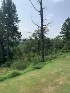 Undisclosed, Dover, AR 72837 photo 40