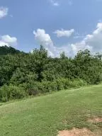 Undisclosed, Dover, AR 72837 photo 37