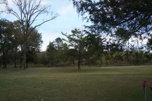 Undisclosed, Dover, AR 72837 photo 3