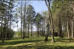 Undisclosed, Dover, AR 72837 photo 32
