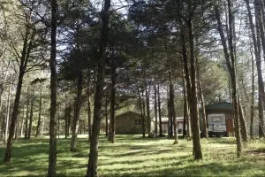Undisclosed, Dover, AR 72837 photo 35