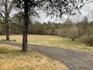 Undisclosed, Dover, AR 72837 photo 27