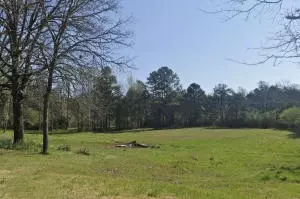 Undisclosed, Dover, AR 72837 photo 26
