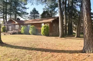 Undisclosed, Dover, AR 72837 photo 4