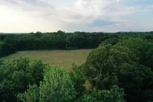 Undisclosed, Ozark, AR 72949 photo 2