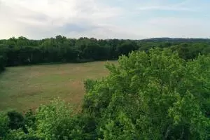Undisclosed, Ozark, AR 72949 photo 42