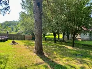 Undisclosed, Dover, AR 72837 photo 49