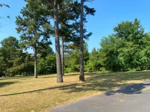Undisclosed, Dover, AR 72837 photo 37